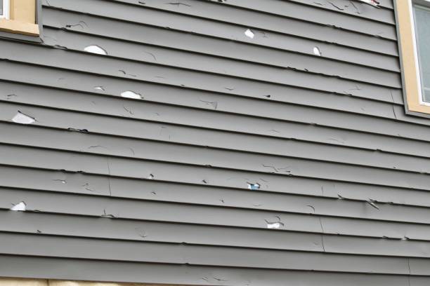 Best Stone Veneer Siding  in Saukville, WI