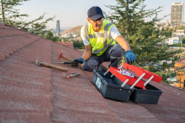 Best Custom Siding Design  in Saukville, WI